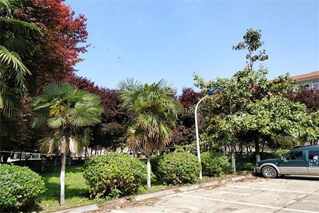 龙都花园3室2厅2卫138㎡【出税、带阁楼、车库】